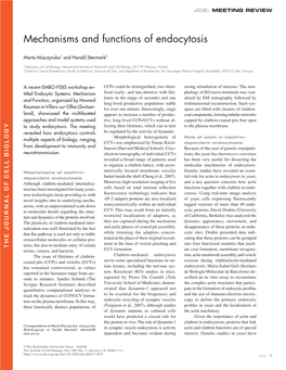 Mechanisms and Functions of Endocytosis