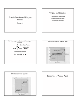 Protein Function and Enzyme Kinetics Proteins and Enzymes Properties Of