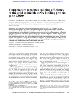 Temperature Regulates Splicing Efficiency of the Cold-Inducible RNA-Binding Protein Gene Cirbp
