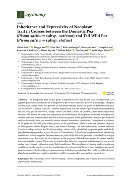 Inheritance and Expressivity of Neoplasm Trait in Crosses Between the Domestic Pea (Pisum Sativum Subsp