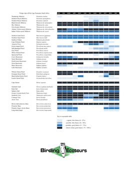 Seabird Seasonality Table