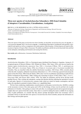 Three New Species of Anchylorhynchus Schoenherr, 1836 from Colombia (Coleoptera: Curculionidae; Curculioninae; Acalyptini)