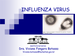 Influenza Avirus : Dividido Em Subtipos Baseado Na Variedade Das Glicoproteínas De Superfície: Hemaglutinina (HA) E Neuraminidase (NA)