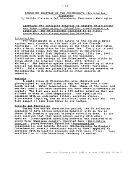 11- SCHOOLING BEHAVIOR of the CHISELMOUTH (Acrocheilus