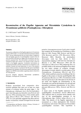 Reconstruction of the Flagellar Apparatus and Microtubular Cytoskeleton in Pyramimonas Gelidicola (Prasinophyceae, Chlorophyta)