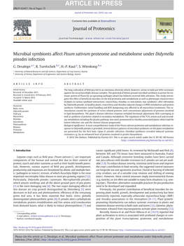 Microbial Symbionts Affect Pisum Sativum Proteome and Metabolome Under Didymella Pinodes Infection