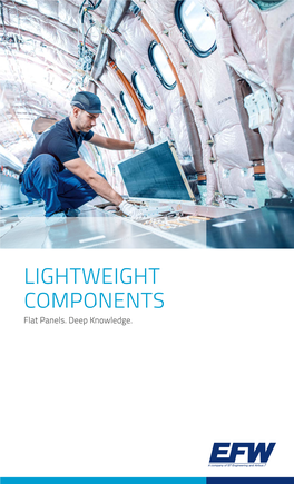 LIGHTWEIGHT COMPONENTS Flat Panels