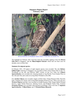 Singapore Raptor Report February 2021