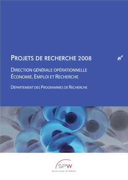 Projets De Recherche 2008