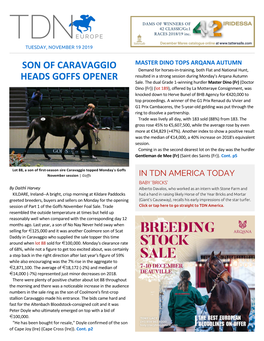 Son of Caravaggio Heads Goffs Opener