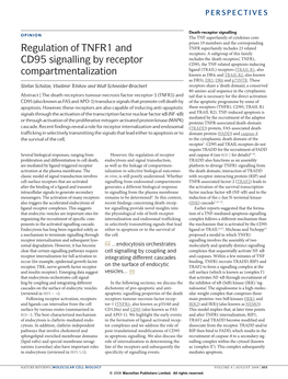 Regulation of TNFR1 and CD95 Signalling by Receptor