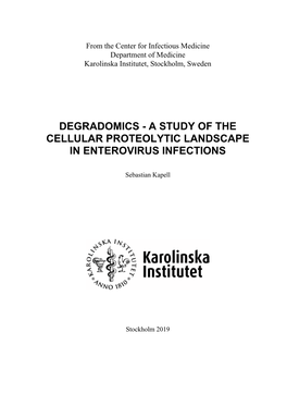 Degradomics - a Study of the Cellular Proteolytic Landscape in Enterovirus Infections