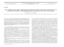 An Iridovirus-Like Agent Associated with Systemic Infection in Cultured Turbot Scophthalmus Maximus Fry in Denmark