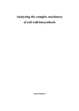 Analyzing the Complex Machinery of Cell Wall Biosynthesis