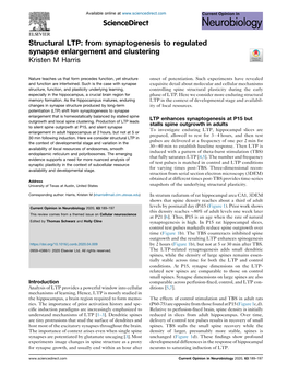 Structural LTP: from Synaptogenesis to Regulated Synapse Enlargement