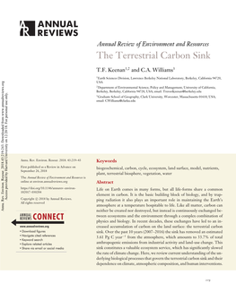 The Terrestrial Carbon Sink