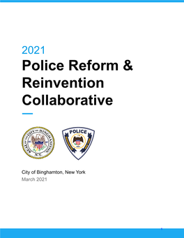 2021 Police Reform & Reinvention Collaborative