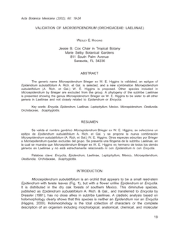 Validation of Microepidendrum (Orchidaceae: Laeliinae)