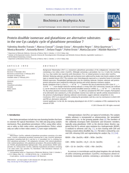 Protein Disulfide Isomerase and Glutathione Are Alternative