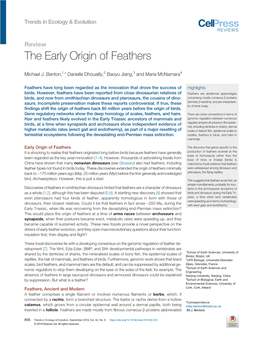 The Early Origin of Feathers