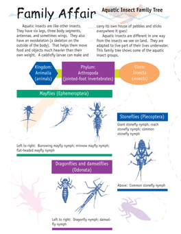 Aquatic Insect Family Tree