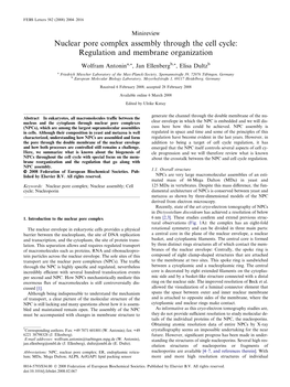 Nuclear Pore Complex Assembly Through the Cell Cycle: Regulation and Membrane Organization