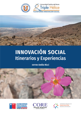 INNOVACIÓN SOCIAL Itinerarios Y Experiencias