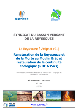 01) Renaturation De La Reyssouze Et De La Morte Au Moulin Brêt Et Restauration De La Continuité Écologique (ROE 63543