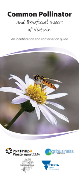 Common Pollinator and Beneficial Insects of Victoria