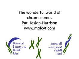 The Wonderful World of Chromosomes Pat Heslop-Harrison DNA and Botany