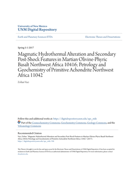 Magmatic Hydrothermal Alteration and Secondary Post-Shock Features in Martian Olivine-Phyric Basalt Northwest Africa 10416