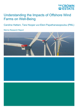 Understanding the Impacts of Offshore Wind Farms on Well-Being