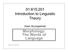 01:615:201 Introduction to Linguistic Theory Morphology: the Words of Language