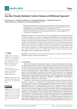 Are the Closely Related Cobetia Strains of Different Species?