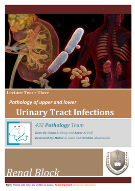 Urinary Tract Infections