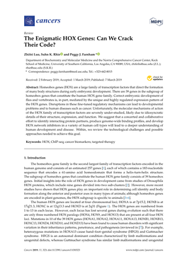 The Enigmatic HOX Genes: Can We Crack Their Code?