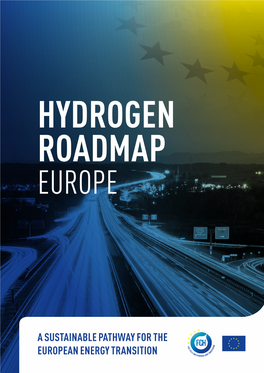 Hydrogen Roadmap Europe Report.Pdf