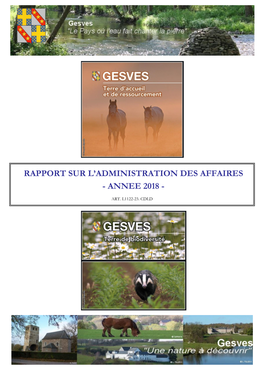 Rapport Sur L'administration Des Affaires