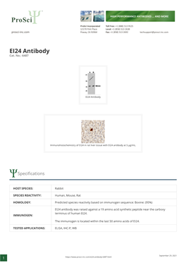 EI24 Antibody Cat