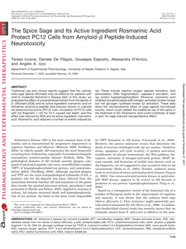 The Spice Sage and Its Active Ingredient Rosmarinic Acid Protect PC12 Cells from Amyloid-␤ Peptide-Induced Neurotoxicity