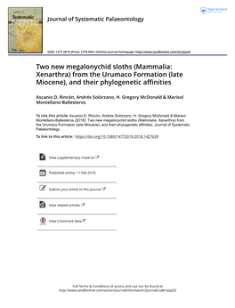 From the Urumaco Formation (Late Miocene), and Their Phylogenetic Affinities