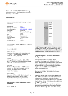 Goat Anti-ORP11 / OSBPL11 Antibody Peptide-Affinity Purified Goat Antibody Catalog # Af1759a