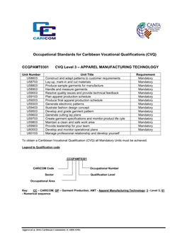 Packaging of Competency Standards for National Qualification