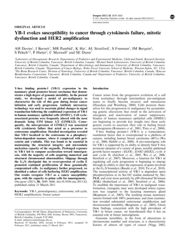 YB-1 Evokes Susceptibility to Cancer Through Cytokinesis Failure, Mitotic Dysfunction and HER2 Amplification