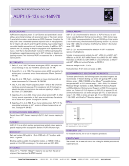 Datasheet Blank Template