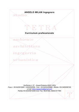 ANGELO MILAN Ingegnere Curriculum Professionale