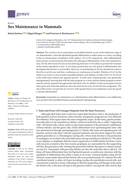 Sex Maintenance in Mammals