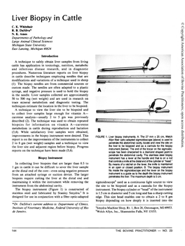 Liver Biopsy in Cattle