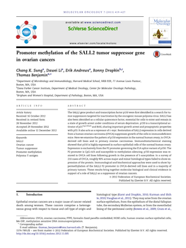 Promoter Methylation of the SALL2 Tumor Suppressor Gene In&Nbsp