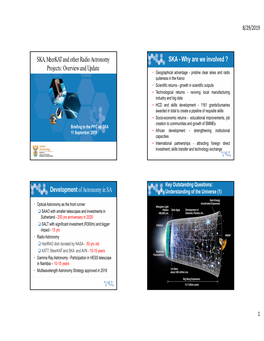 SKA, Meerkat and Other Radio Astronomy Projects